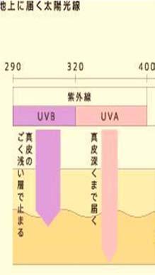 紫外線と皮膚 2 UVA( 長波長紫外線 :320~400nm) 光アレルギー ( 薬剤性光線過敏症 ) UVB( 中波長紫外線