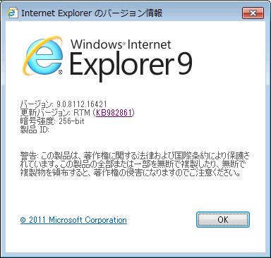 Internet Explorer9 の場合の事前設定方法