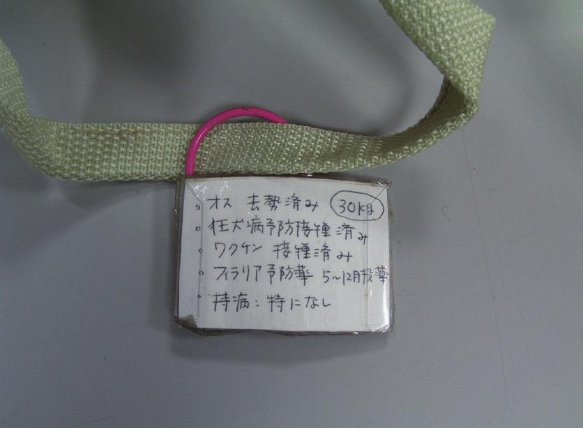 ペット用備蓄品保管袋に付けられた個体情報の例