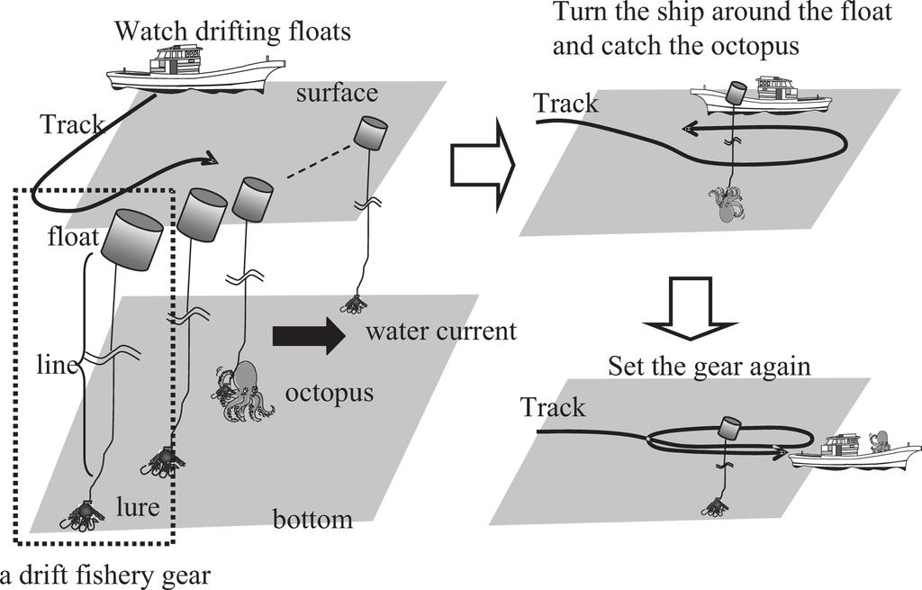 Figure 1. Schematic diagram of drift fishery and track at the time of capturing the giant Pacific octopus Enteroctopus dofleini. Fig. 1 2007 GPS 2007 4 12 Fig. 2 GPS GPS GPSmap60csx, Garmin Ltd.