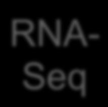 RNA 配列を取得 (RNA-Seq) 2 配列データの結合編集作業 ( アセンブリ )