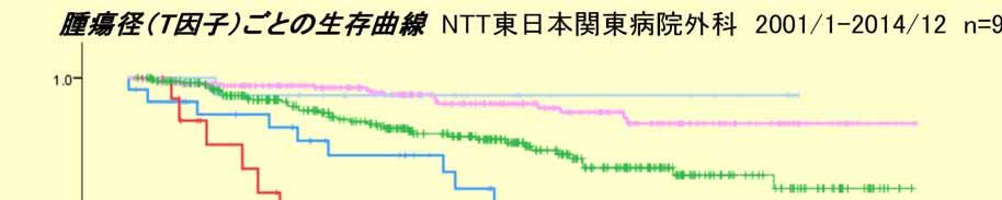 腫瘍径 (T 因子 ) ごとの生存曲線 NTT 東日本関東病院外科