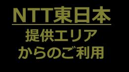 NTT 東日本 NTT 西日本のフレッツ光回線