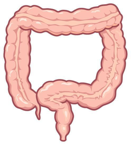 結 腸 S 状結腸