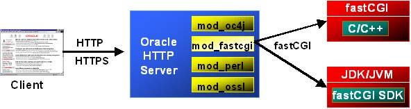 mod_plsql OHS OHS Perl Server Side Includes Server Side Include Oracle HTTP Server Perl Web CGI 1 Perl OHS Perl Web Perl 1 Web CGI FastCGI : Java/C/C++ CGI