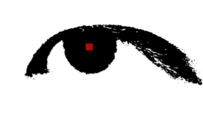 この重心が, 現在のフレームで左右どちらに動いたかを残像と比較し, 視線方向の検出に利用する. ここで, ピクセル重心の定義から視線方向検出までの一連の流れについて解説する. 重心を定義するには, まず, 取得した眼部領域を二値化する.