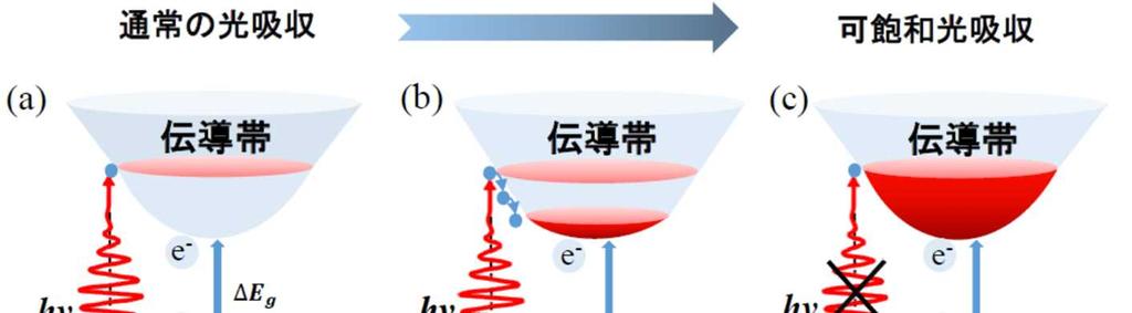 図 3. 黒リンにおける光吸収 (a) 入射光強度が小さい場合は 光吸収により電子が伝導帯状態に励起され (b) 時間が経過するとやがて伝導帯の底に電子が蓄積する (c)