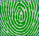 指紋センサーに指をスライドさせ 指紋の採取を行います 画面の表示にしたがって指紋の読み取りを行ってください 指紋が正常に読み取れた場合にはイラストが緑色に 読み取れなかった場合にはイラストが赤色に表示されます 指紋の採取は最低 3 回行います 指紋を識別するのに充分な情報が採取できたら