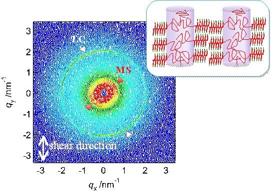Figure 5 2D-SAXS image and schematic model of the phase structure for S09LC13 in liquid crystalline state.