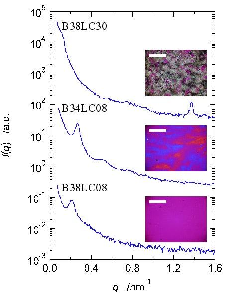 45 nm 1 LC PSt [9] [9] Figure 6 SAXS profiles and POM photographs for the PBA-PLC block copolymers in liquid crystalline