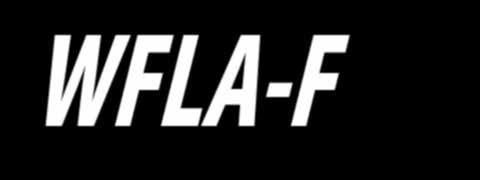 WFLA-F LED 構内道路用照明器具 歩道用ポールヘッド形歩道用アーム取付形 外形図 ( ポールヘッド形 ) WFLA090F/WFLA090F/WFLA090F ± () () 0± 水銀灯 0 形相当品 WFLA090F 46 形 60VA 94,000( ポール別 電源内蔵 変換アダプター込 ) WFLA090FJ( 乳白グローブ ) 98,0( ポール別 電源内蔵 変換アダプター込