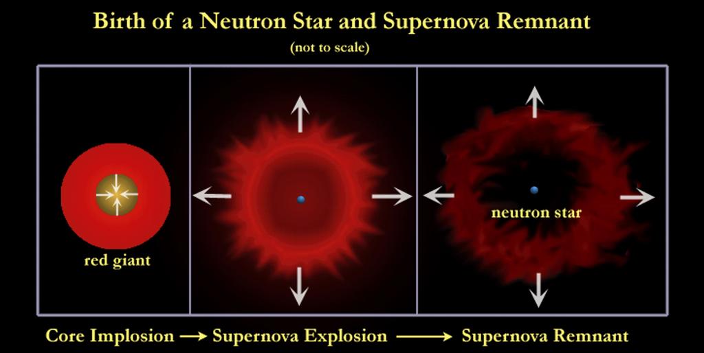 超新星爆発の芯 : 高密度天体 中心部は圧縮されて