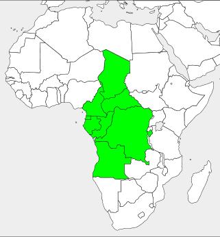 中部アフリカ諸国経済共同体 (ECCAS) (Economic Community of Central African States) CHAD