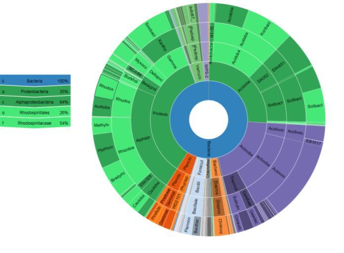 CLC Microbial Genomics Module 1.0 マイクロバイオーム解析 o 16S rrna 解析 その他アンプリコンデータ対応.