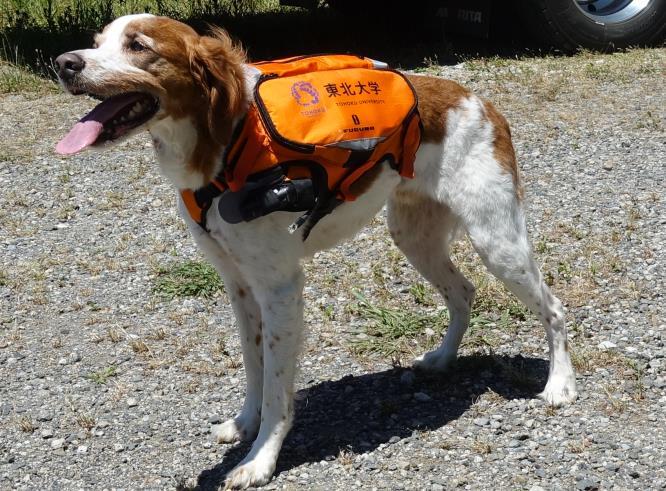 サイバー救助犬 1. 救助犬の探査活動 やる気 疲れの推定 4. 災害対応ロボットと連携 2. 災害救助犬の活動の記録と配信 作業の指示 Cloud Server ハンドラー 指揮命令者 3.