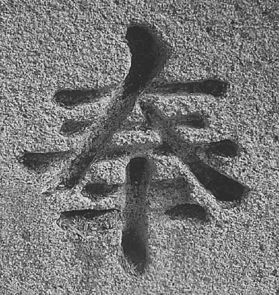 ３.３ 奉納 の文字と彫り 狛犬台座に記される 奉献 奉納 の文字は 石工の手になる場合が多く 特に佐吉はこの文字に
