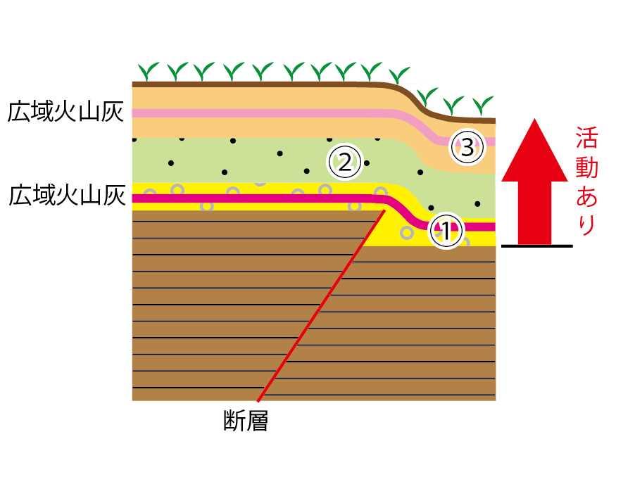 断層の活動時期の調査 1 の堆積以降, 断層の活動はない 3 には断層の変位が及んでいない したがって,3 の堆積以降, 断層の活動はない 3 に断層の変位が及んでいる