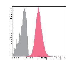 ( 青 ):DAPI umber of Cells 00 0 00 0 R-Phycoerythrin < フィルター > Ex : 88 nm Em: -0 nm 図 HeLa 細胞のアクチン及びミトコンドリアの免疫染色画像 < アクチン及びミトコンドリアの免疫染色 > Ab-0 Rapid HiLyte Fluor TM Labeling Kit Ab-0