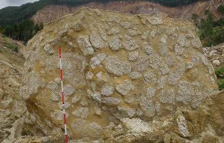 リルが顕著に発達する 軽石凝灰岩 陥没帯内の軽石凝灰岩の転石