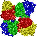 5-ビスリン酸カルボキシラーゼオキシゲナーゼ - ( 略称はRubisco) とる この酵素はリブロース 1,6-ビスリン酸 (RuBP) のカルボキシル化を触媒して2 分子の3-ホスホグリセリン酸 (3-PG) を生じる スビスリン酸カルボキシラーゼは光合成の要となる酵素で, 葉緑体タンパク質の15% ( ストロマの可溶性タンパク質の実に50%) を占める 然界に最も多量に存在する酵素である