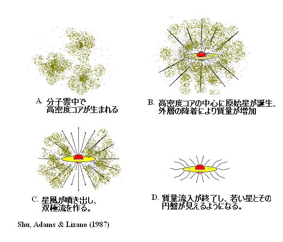 中小質量星形成の標準シナリオ 1970-80 年代に確立林忠四郎 Larson,Shu ら 1.