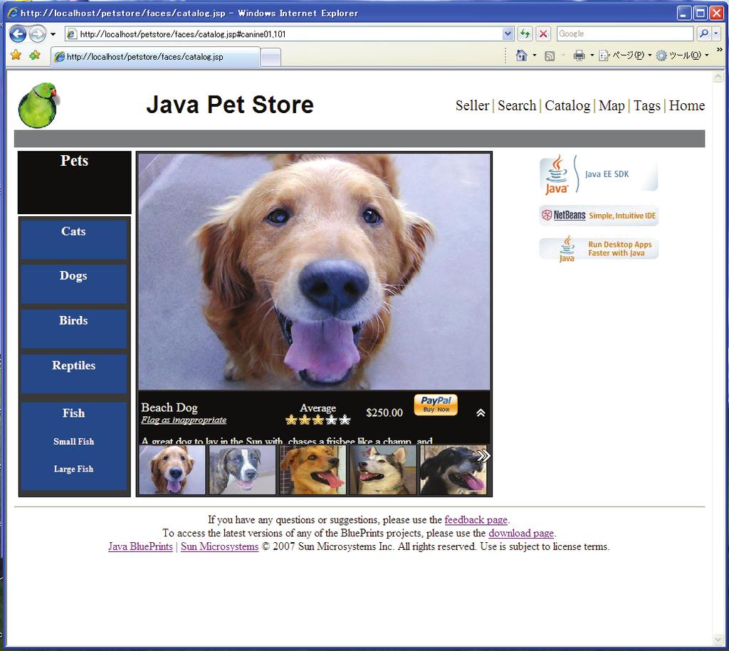 1B2. Pet Store 2.0 の特徴 4B2.1 Java EE 5 の活用 Pet Store 2.