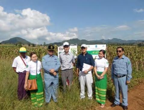 ング事業を視察され 当該農家とも面談された 右側が U San Wai 国際課長左側はプロマネ U Maung Maung Naing 氏 Khashi