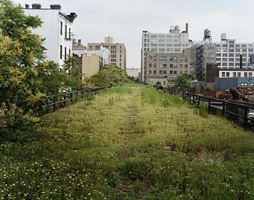 1980 1980 1999 NPO Friends of the High Line: