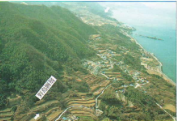 野島断層航空写真