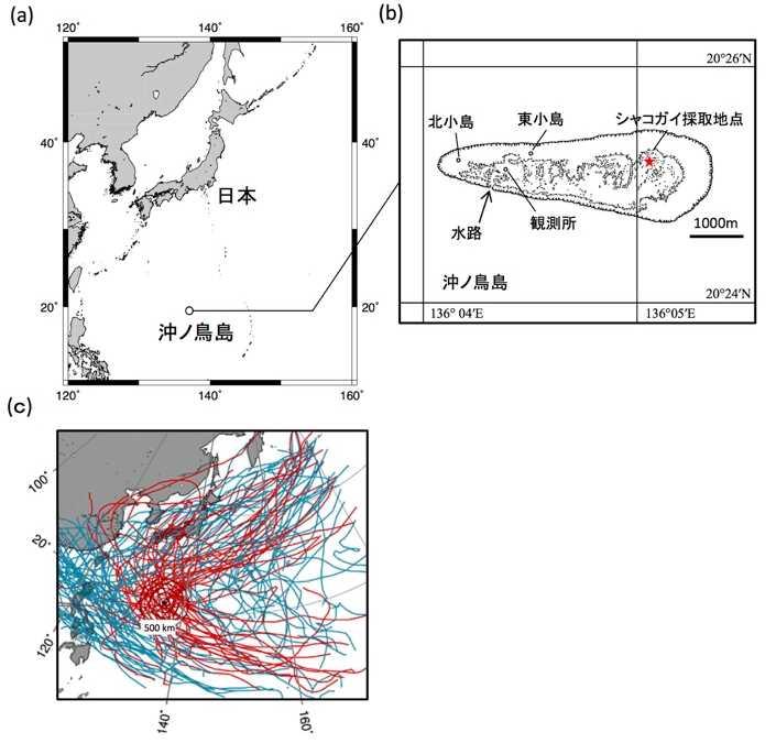 図 2. 沖ノ鳥島と台風の経路 沖ノ鳥島は日本に接近する台風の通過地点となっており,1993