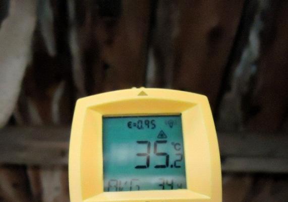 (3) 屋根及び豚舎内温度の比較当該農場での石灰塗布の効果を検証するため 屋根及び豚舎内温度を比較した 1 屋根温度の比較 ( 図 6) 9 月