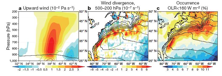 背景 大気 海洋相互作用 人工衛星技術の発達により 詳細な解析が可能となった Minobe et al.