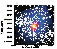 Observational Evidence of Intracluster Magnetic Field (1): Radio Halos / Relics Non-thermal radio emission from merging clusters of galaxies synchrotron radio γ~10 4 electrons + 0.
