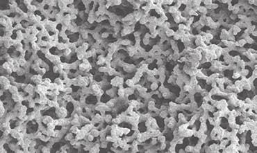 Chromolith HPLC - RP-8e Si NH 2 CN DIL Phenyl 2 mm; 1. µm 3, 4.6, 10, 2 mm; 2 µm 1.1 µm 130 Å 10 Å - - 1 ml/g >80% 2.