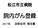 松江市立病院 院内がん登録 2017 年 診断症例報告書
