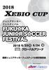 2018 XEBIO CUP /23 6/24 福岡ジュニアサッカーフェスティバル実行委員会